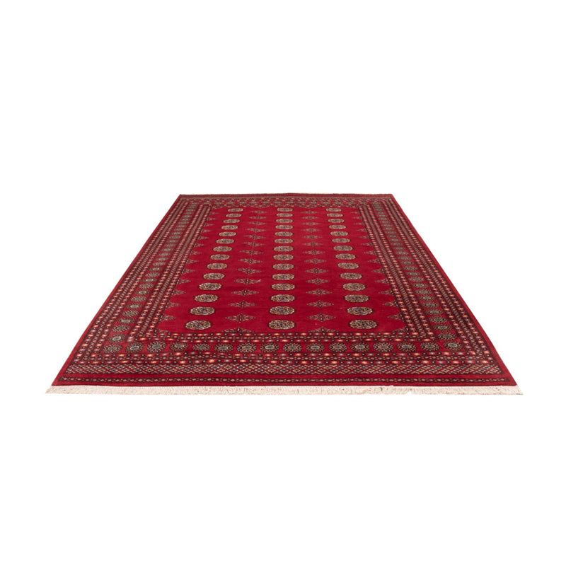 Afghan Teppich - Buchara - 300 x 201 cm - rot