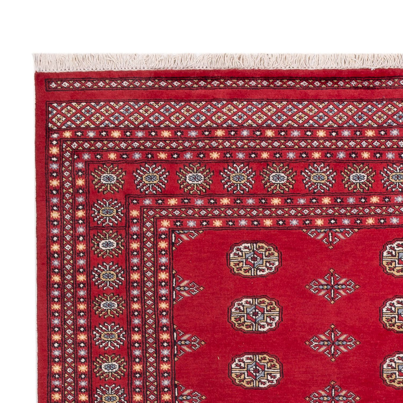 Tapis de Boukhara Tapis 316x203cm - Tapis oriental