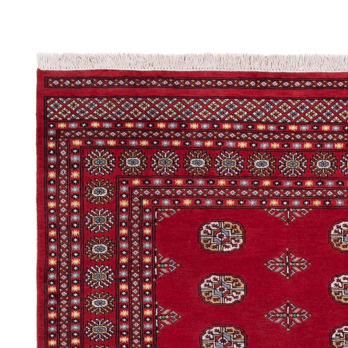 Afghan Teppich - Buchara - 294 x 198 cm - rot