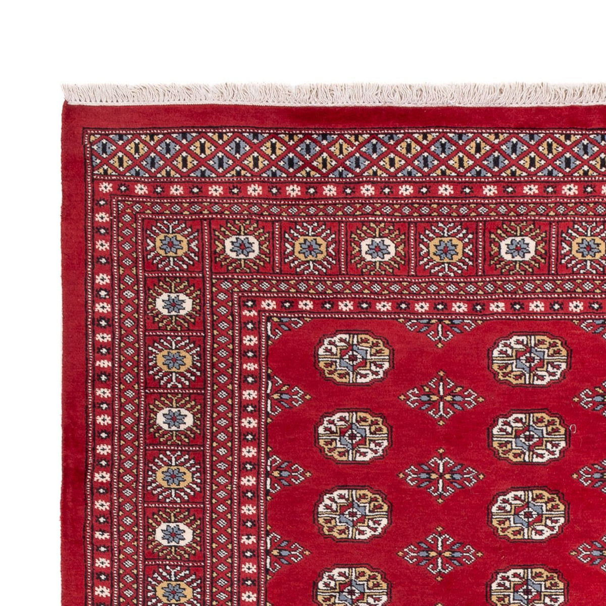 Afghan Teppich - Buchara - 313 x 207 cm - rot