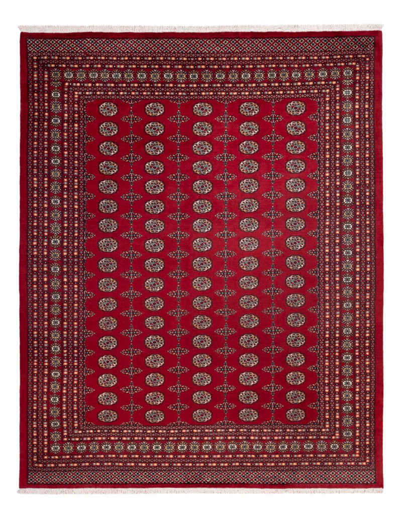 Afghan Teppich - Buchara - 309 x 246 cm - rot