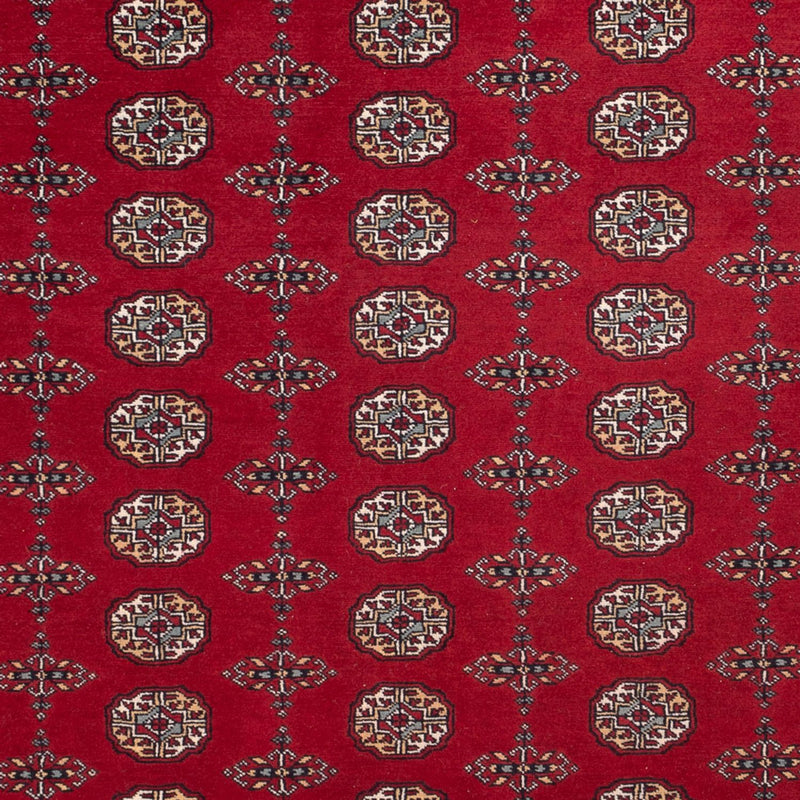 Afghan Teppich - Buchara - 309 x 246 cm - rot