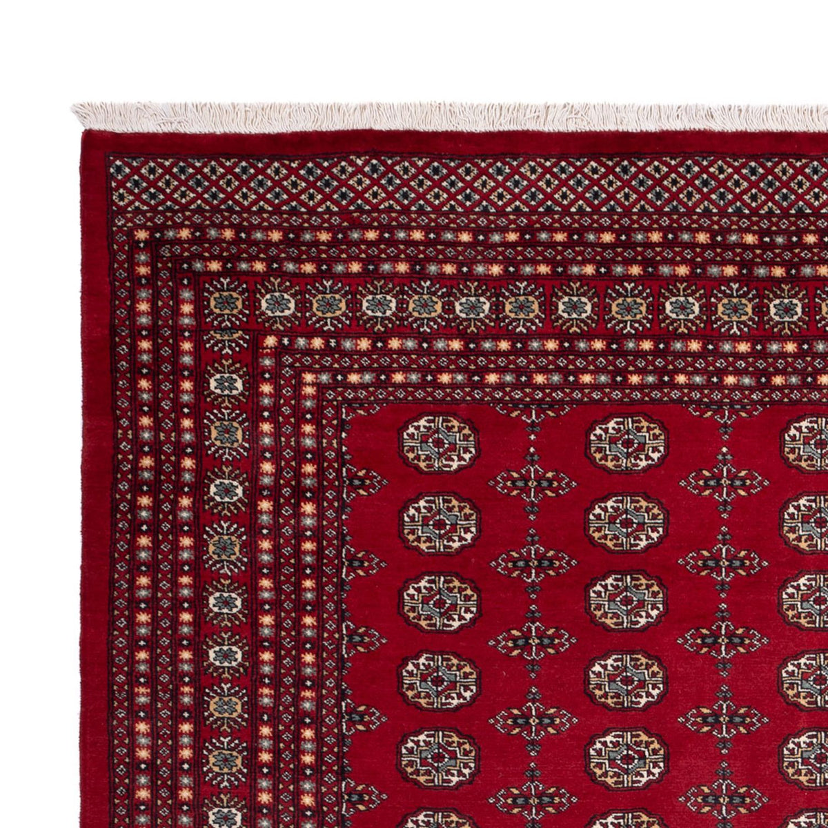 Afghan Teppich - Buchara - 309 x 246 cm - rot