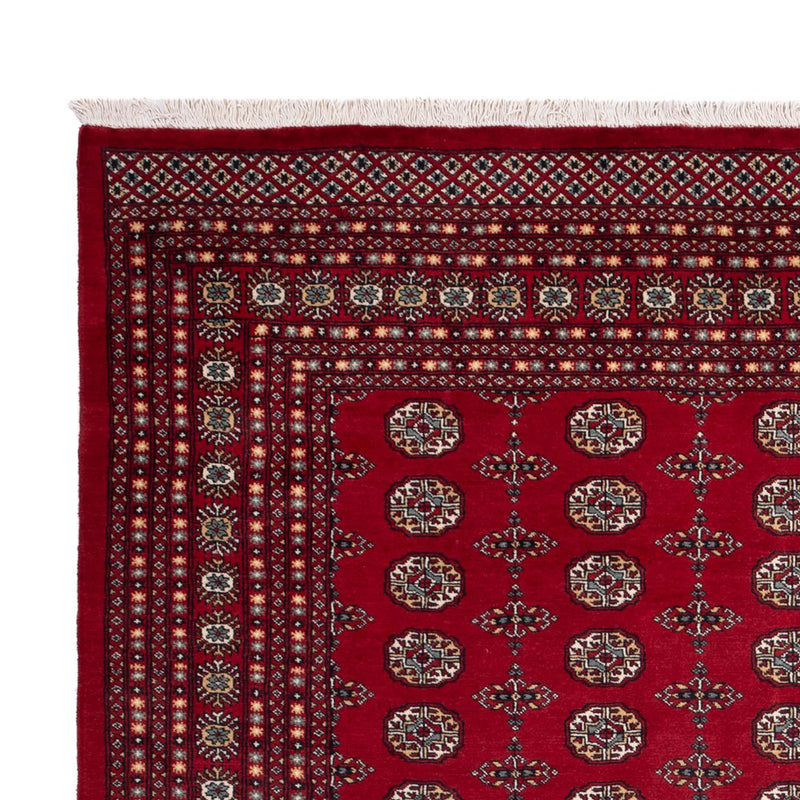 Afghan Teppich - Buchara - 309 x 246 cm - rot