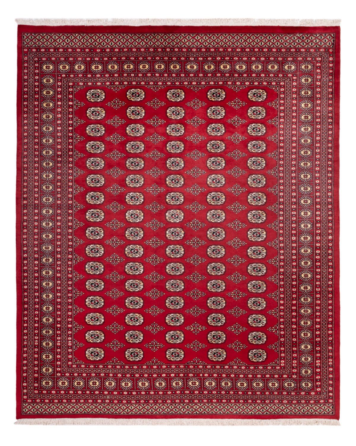 Afghan Teppich - Buchara - 305 x 244 cm - rot