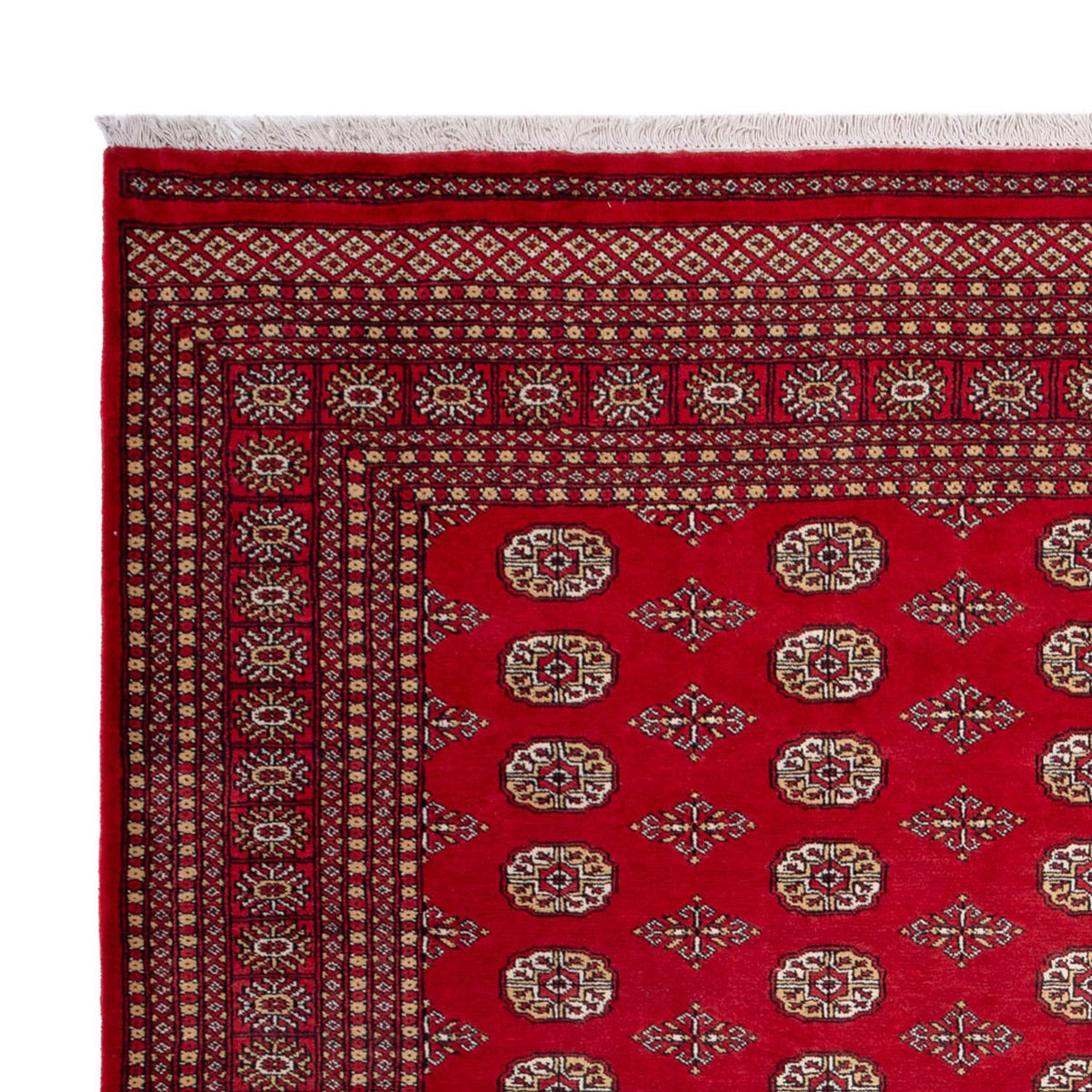 Afghan Teppich - Buchara - 305 x 252 cm - rot