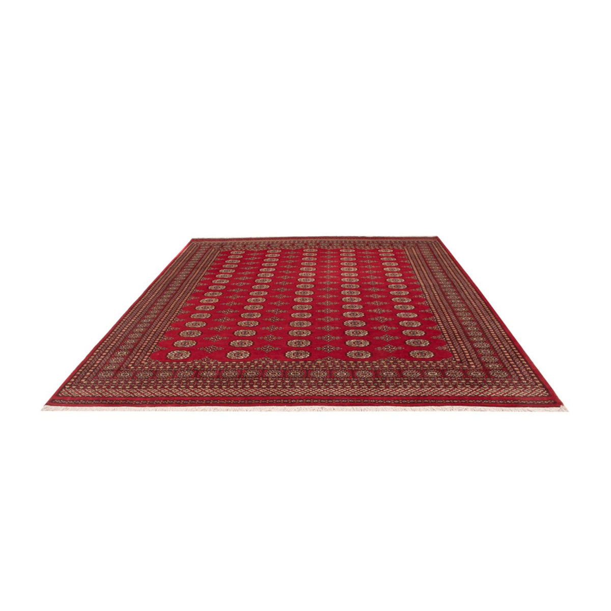 Afghan Teppich - Buchara - 305 x 252 cm - rot