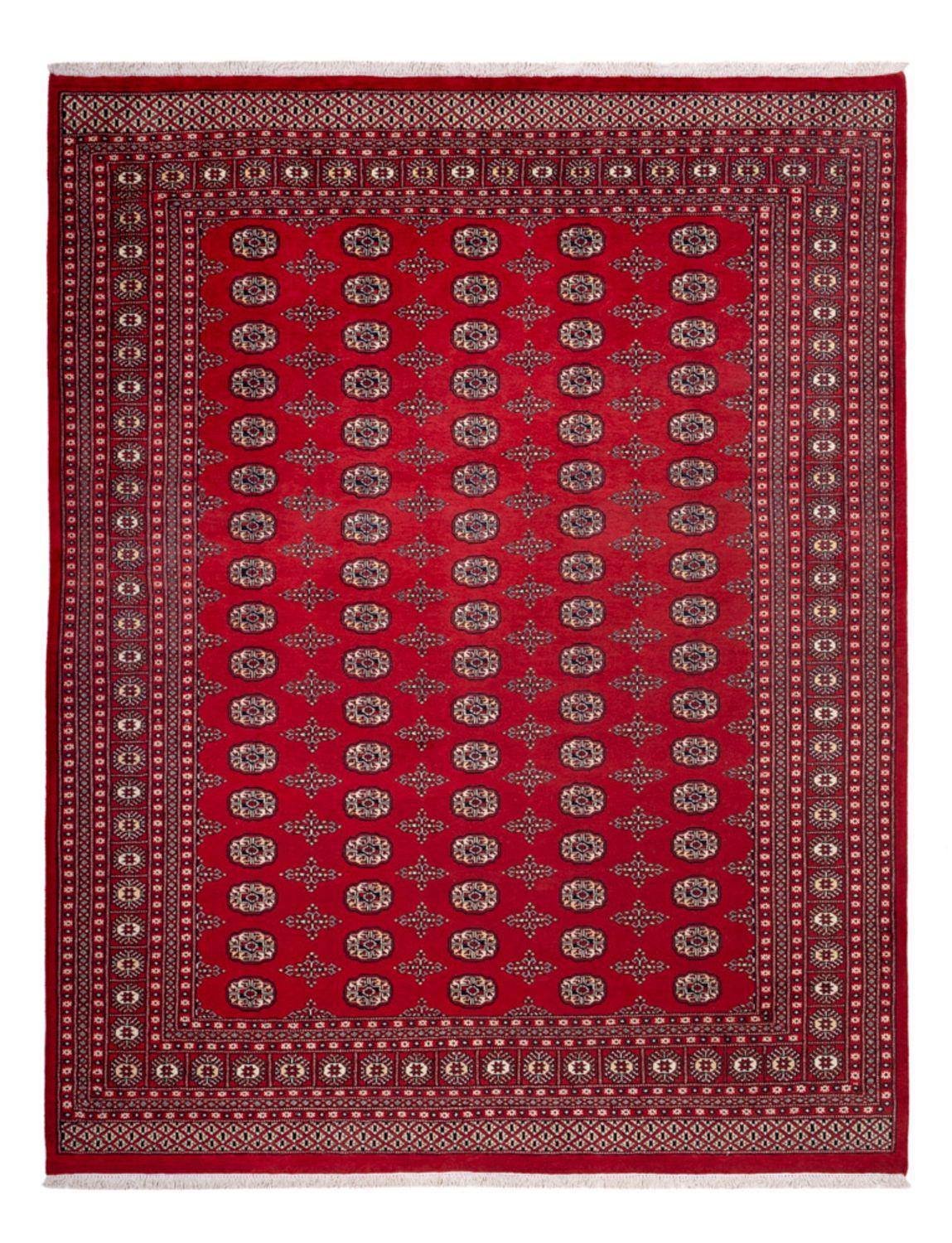 Afghan Teppich - Buchara - 319 x 250 cm - rot