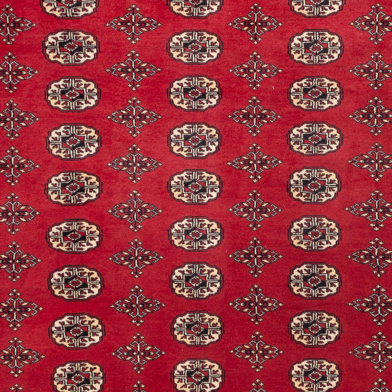 Afghan Teppich - Buchara - 309 x 248 cm - rot