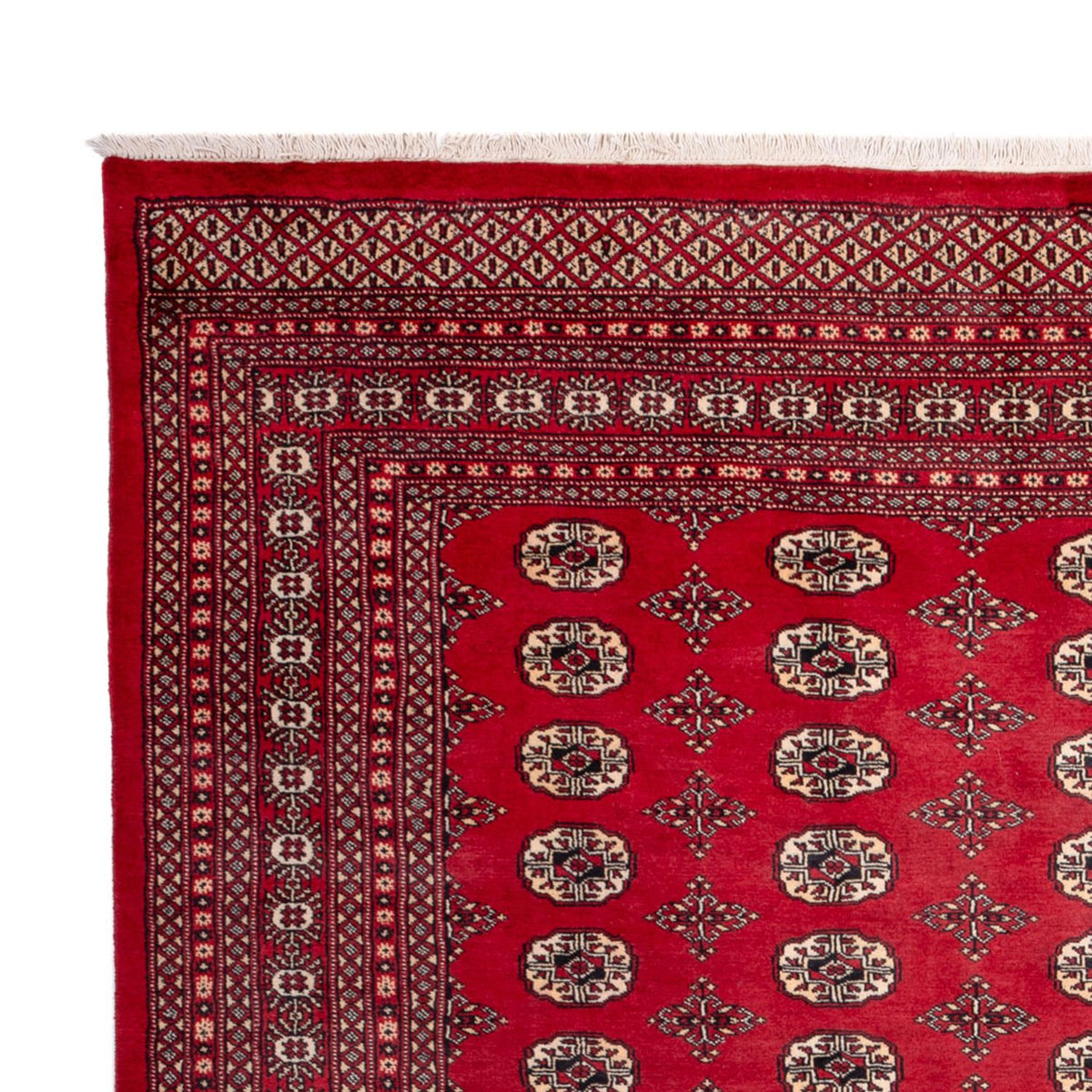 Afghan Teppich - Buchara - 309 x 248 cm - rot