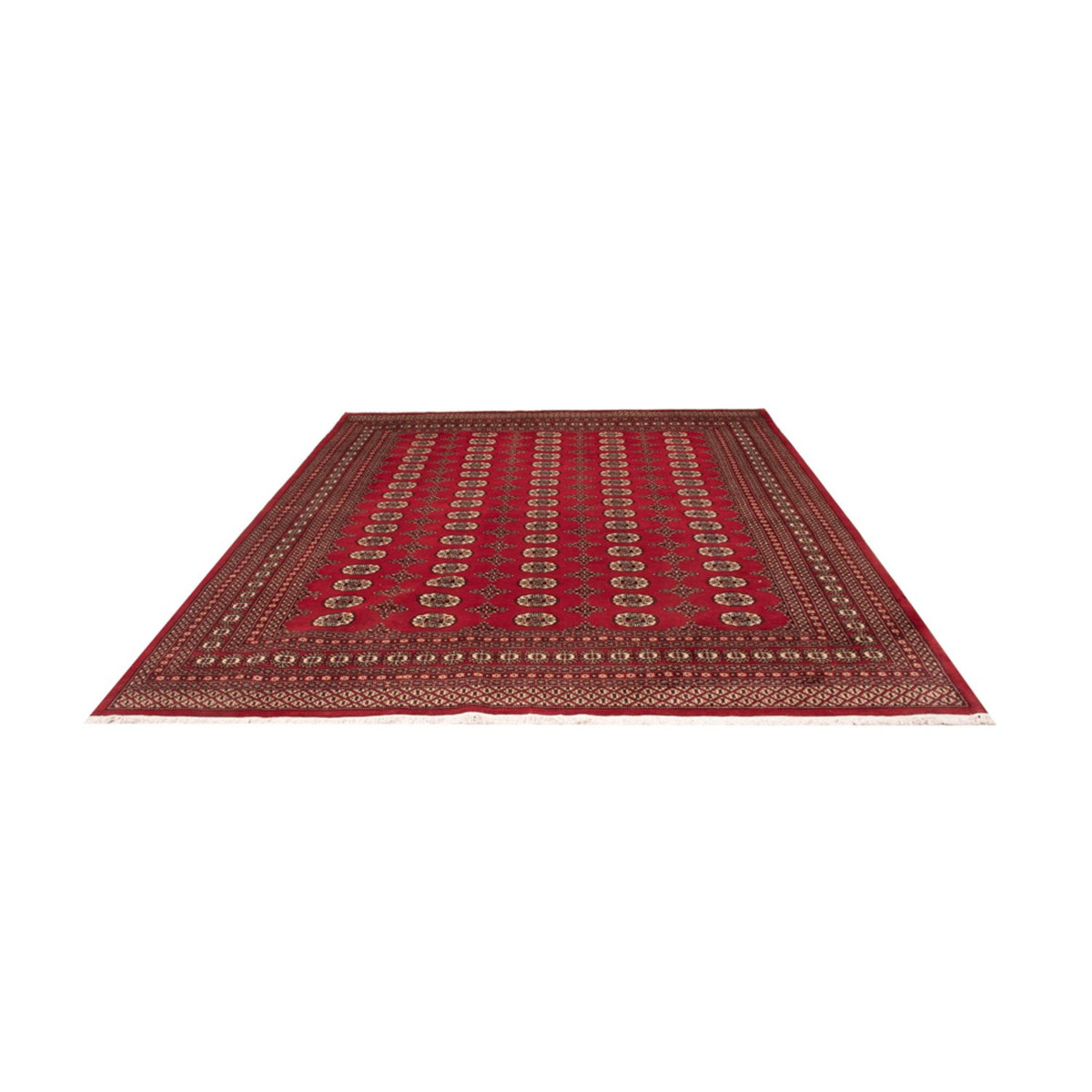 Afghan Teppich - Buchara - 309 x 248 cm - rot