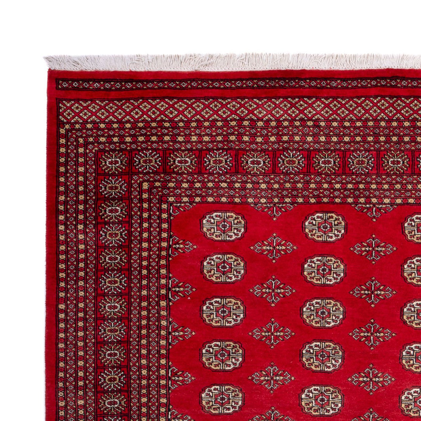 Bukhara Tappeto 321x247cm - Tappeto orientale
