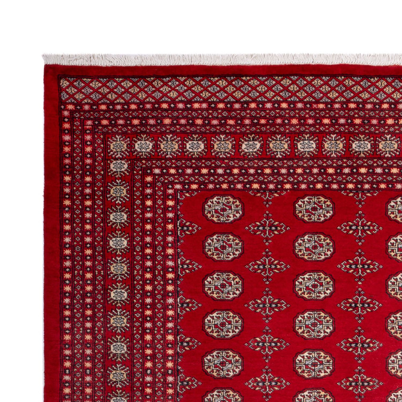 Buchara Teppich 318x247cm - Orientteppich