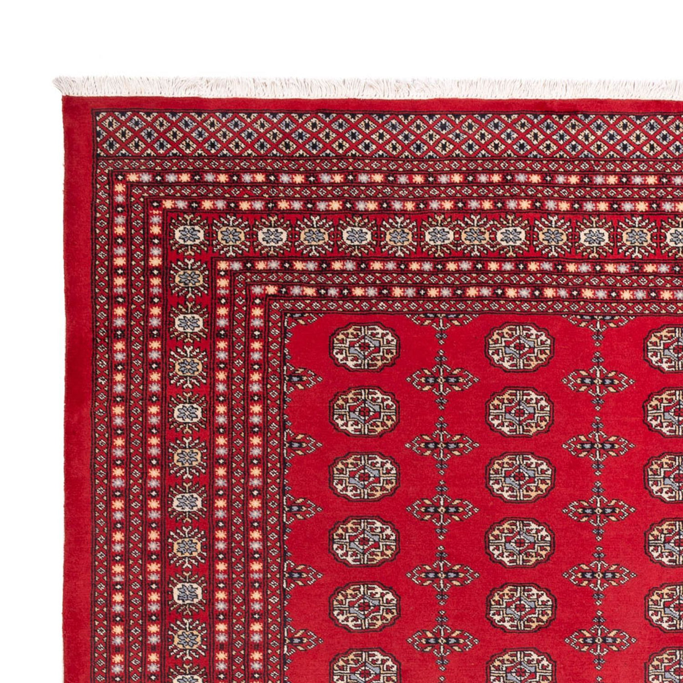 Buchara Teppich 310x250cm - Orientteppich