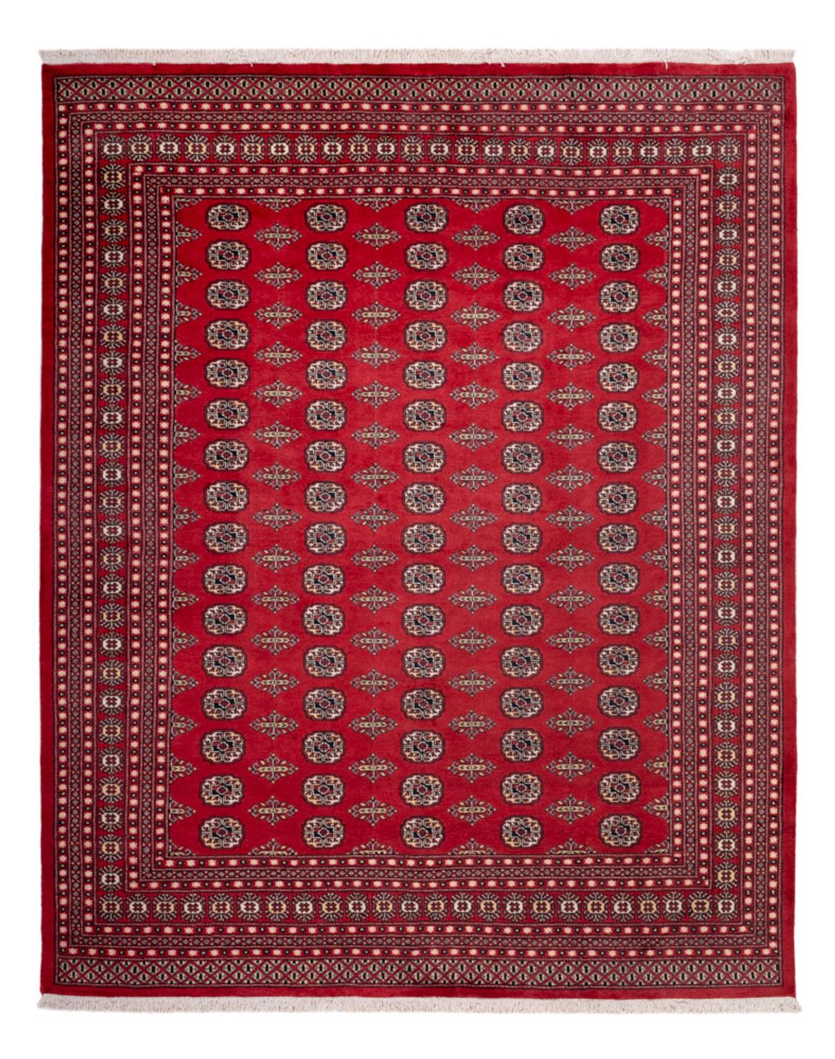 Afghan Teppich - Buchara - 315 x 248 cm - rot