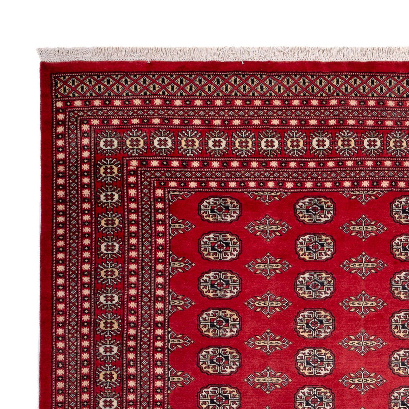 Buchara Teppich 315x248cm - Orientteppich