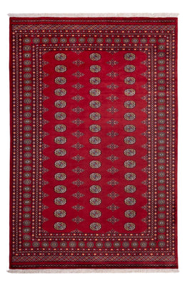 Afghan Teppich - Buchara - 302 x 202 cm - rot