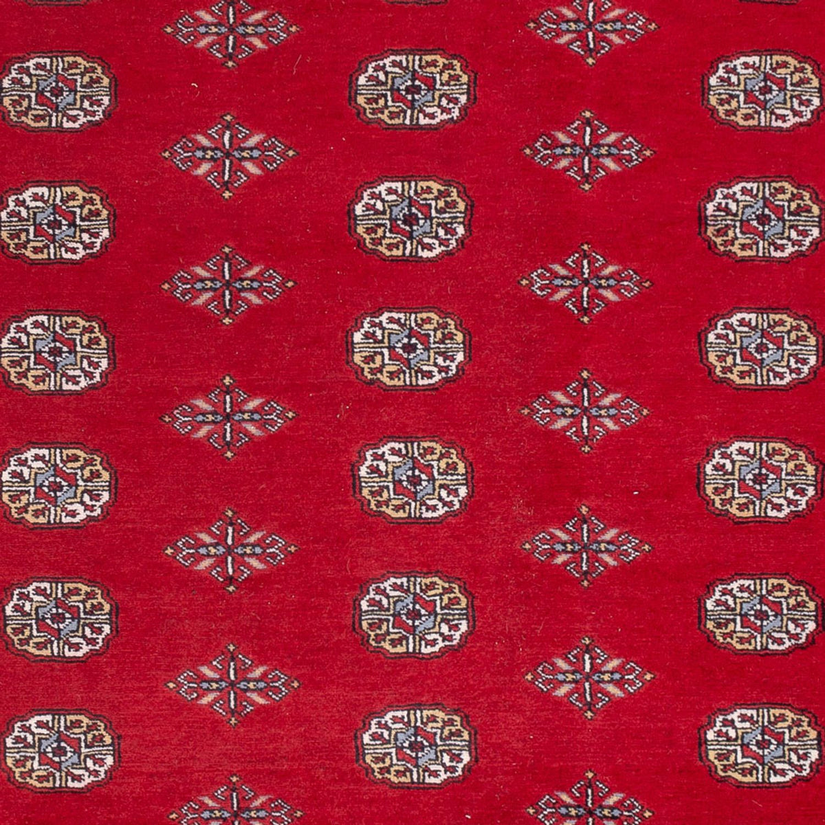 Afghan Teppich - Buchara - 303 x 205 cm - rot