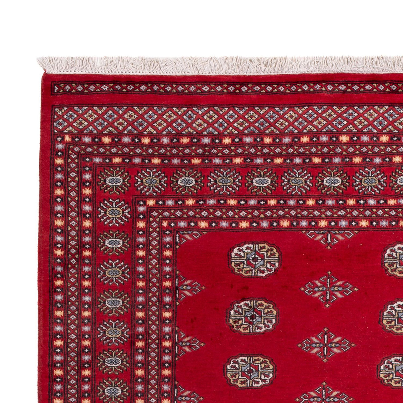 Bukhara Tappeto 303x205cm - Tappeto orientale