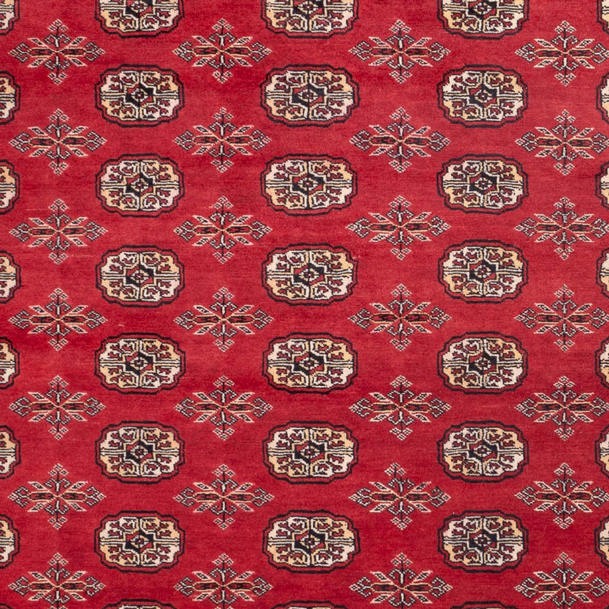 Afghan Teppich - Buchara - 297 x 220 cm - rot