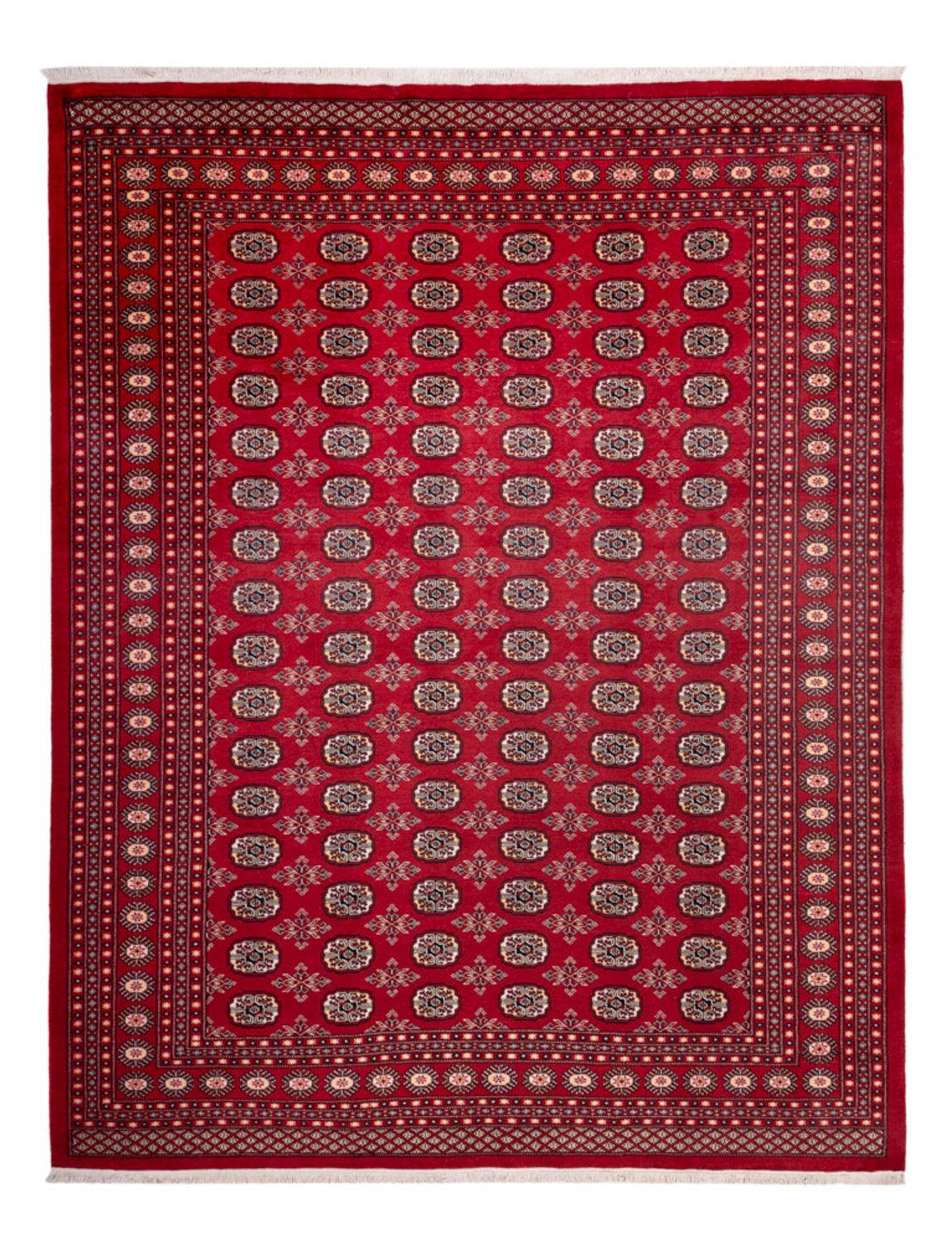 Afghan Teppich - Buchara - 322 x 248 cm - rot