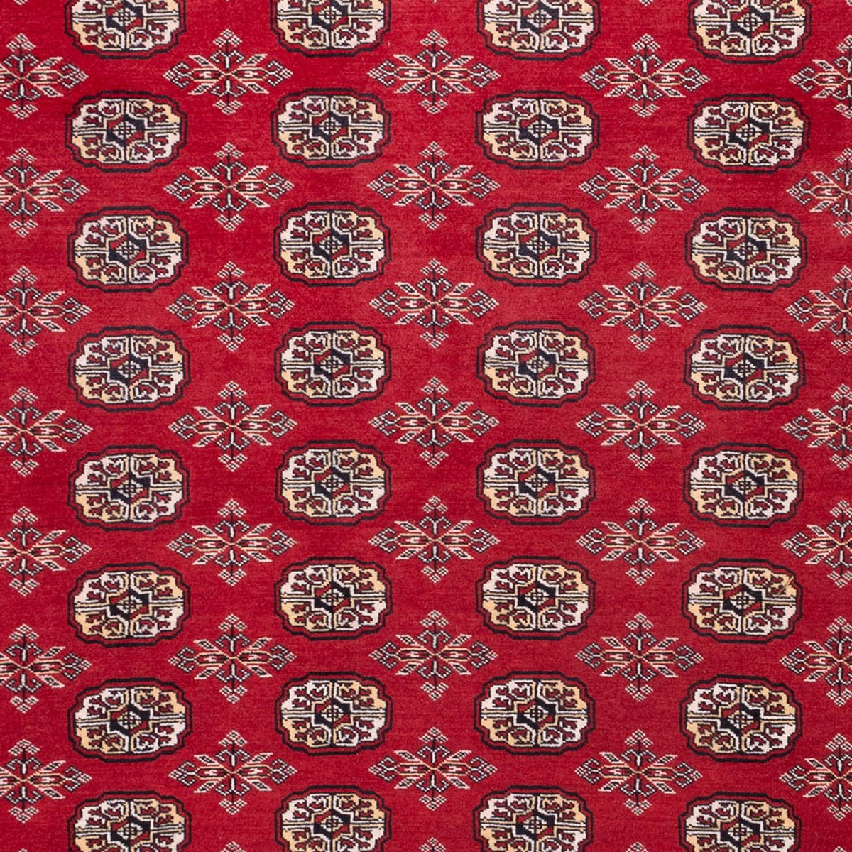 Afghan Teppich - Buchara - 322 x 248 cm - rot