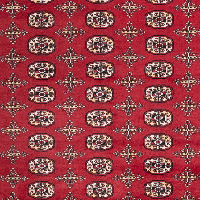 Afghan Teppich - Buchara - 312 x 245 cm - rot