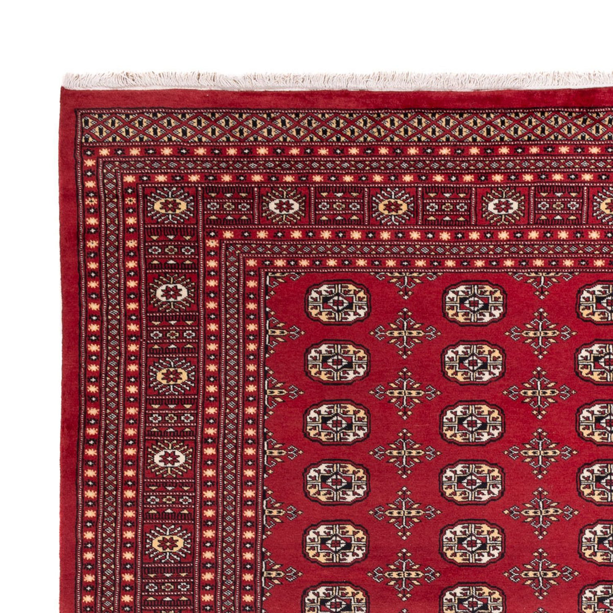 Afghan Teppich - Buchara - 312 x 245 cm - rot