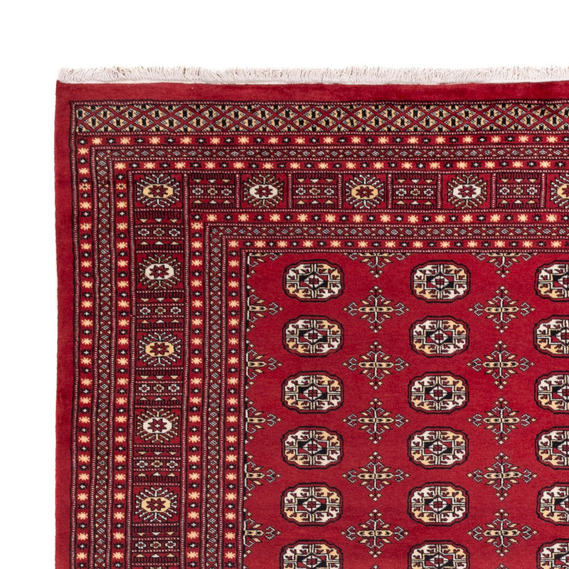 Afghan Teppich - Buchara - 312 x 245 cm - rot