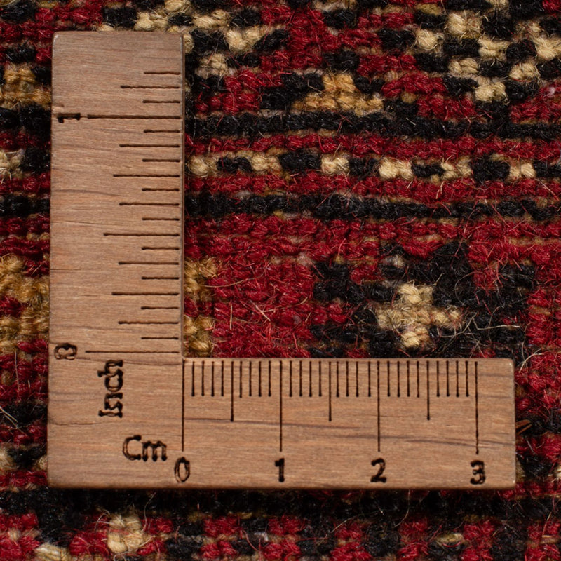 Afghan Teppich - Buchara - 312 x 245 cm - rot
