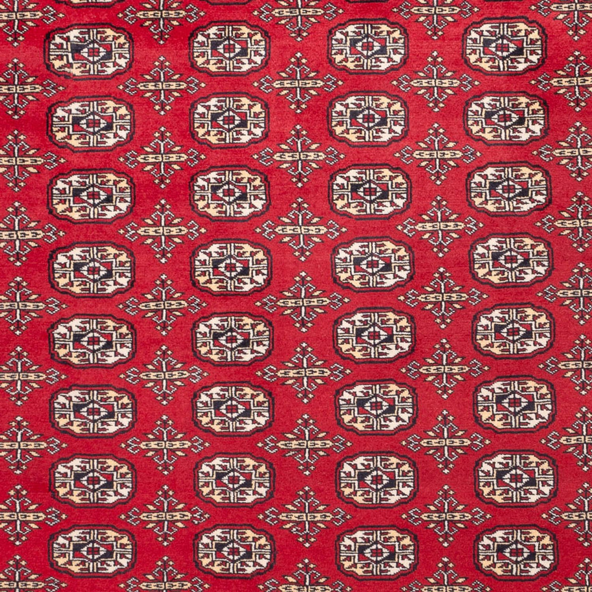 Afghan Teppich - Buchara - 311 x 243 cm - rot