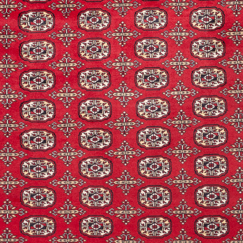 Afghan Teppich - Buchara - 311 x 243 cm - rot