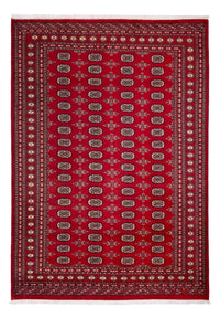 Tappeto afgano - Bukhara - 297 x 213 cm - rosso
