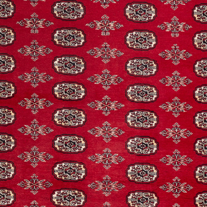 Afghan Teppich - Buchara - 297 x 213 cm - rot