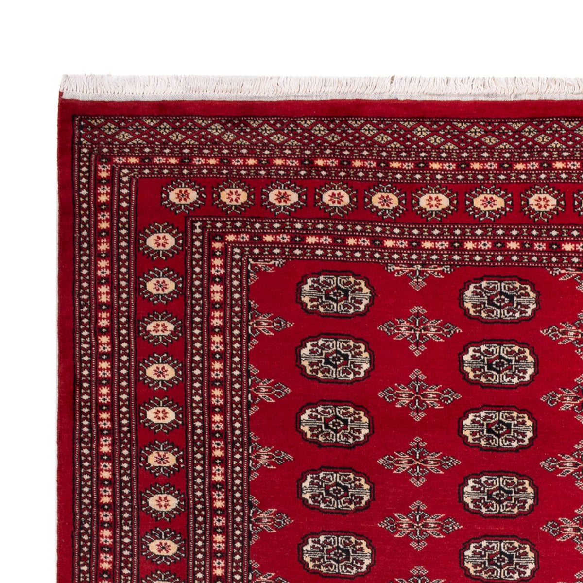 Afghan Teppich - Buchara - 297 x 213 cm - rot