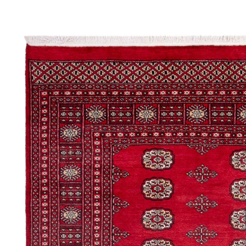 Afghan Teppich - Buchara - 306 x 197 cm - rot