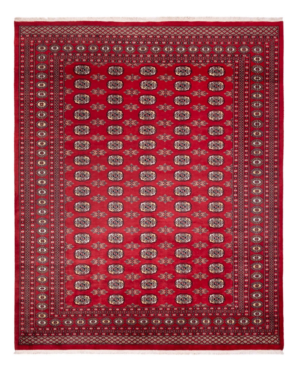 Afghan Teppich - Buchara - 307 x 247 cm - rot