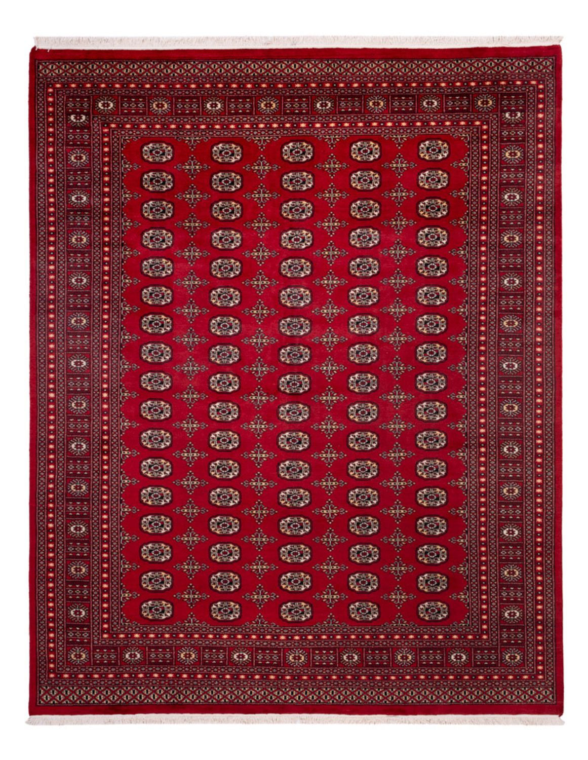 Afghan Teppich - Buchara - 308 x 243 cm - rot