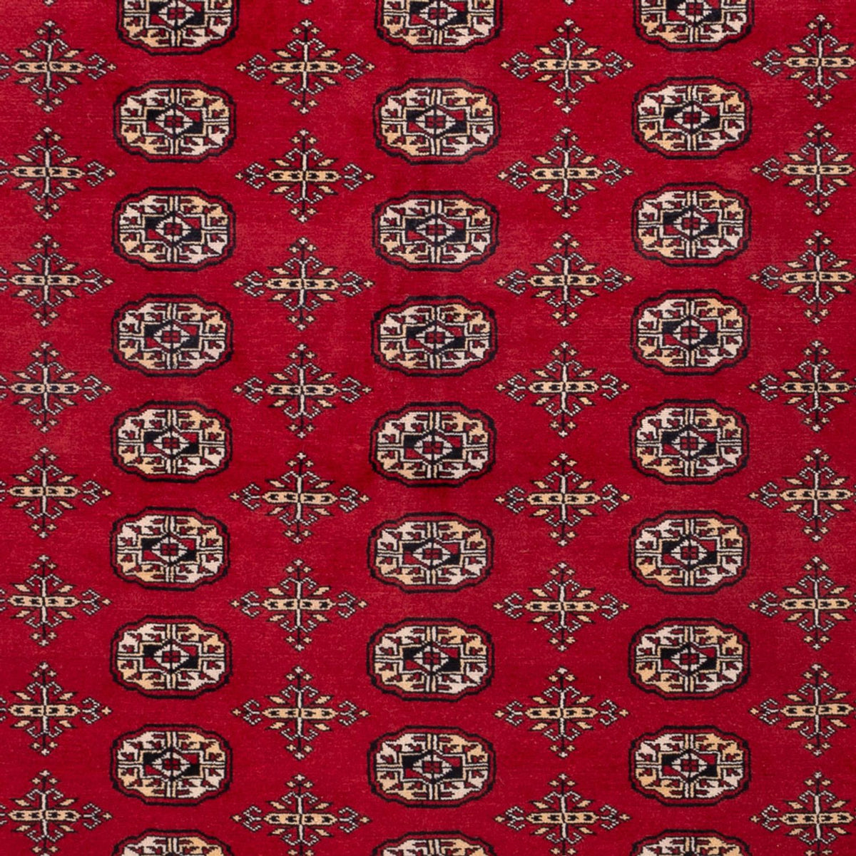 Afghan Teppich - Buchara - 308 x 243 cm - rot