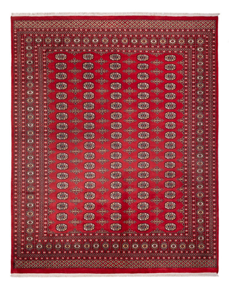 Afghan Teppich - Buchara - 312 x 244 cm - rot
