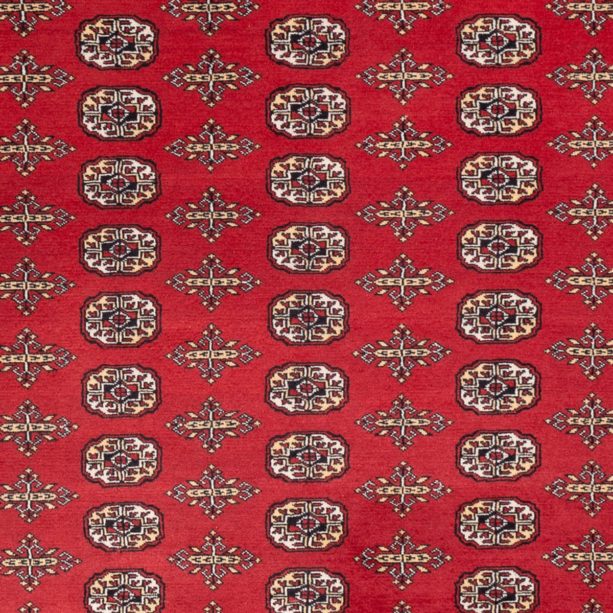 Afghan Teppich - Buchara - 312 x 244 cm - rot