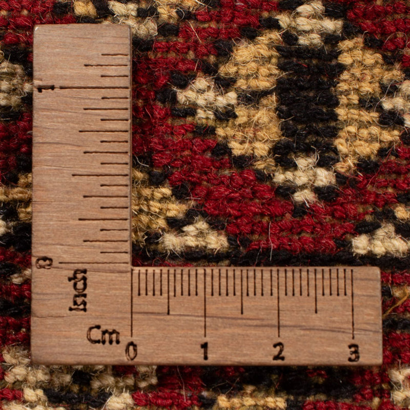 Afghan Teppich - Buchara - 312 x 244 cm - rot