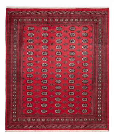Tapis de Boukhara Tapis 246x305cm - Tapis oriental