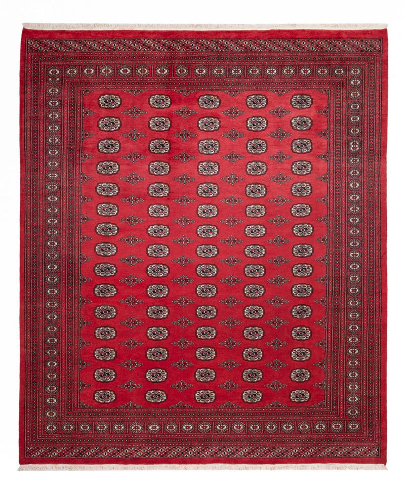 Afghan Teppich - Buchara - 305 x 246 cm - rot