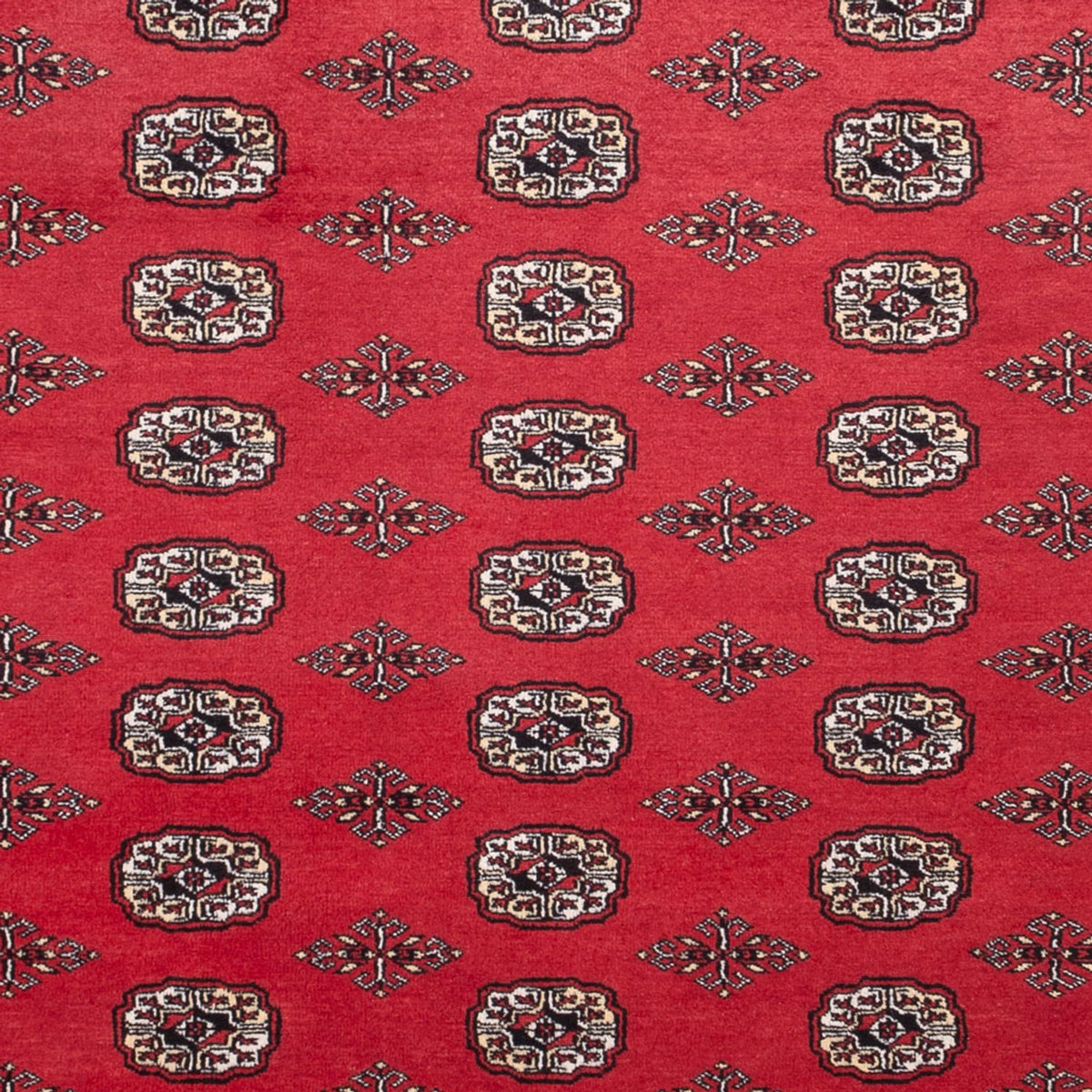 Afghan Teppich - Buchara - 305 x 246 cm - rot