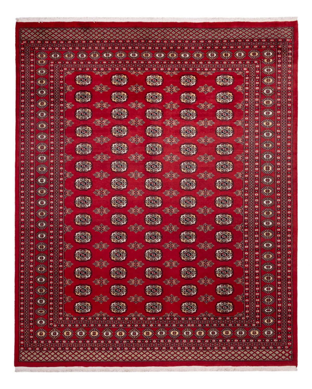 Afghan Teppich - Buchara - 301 x 245 cm - rot