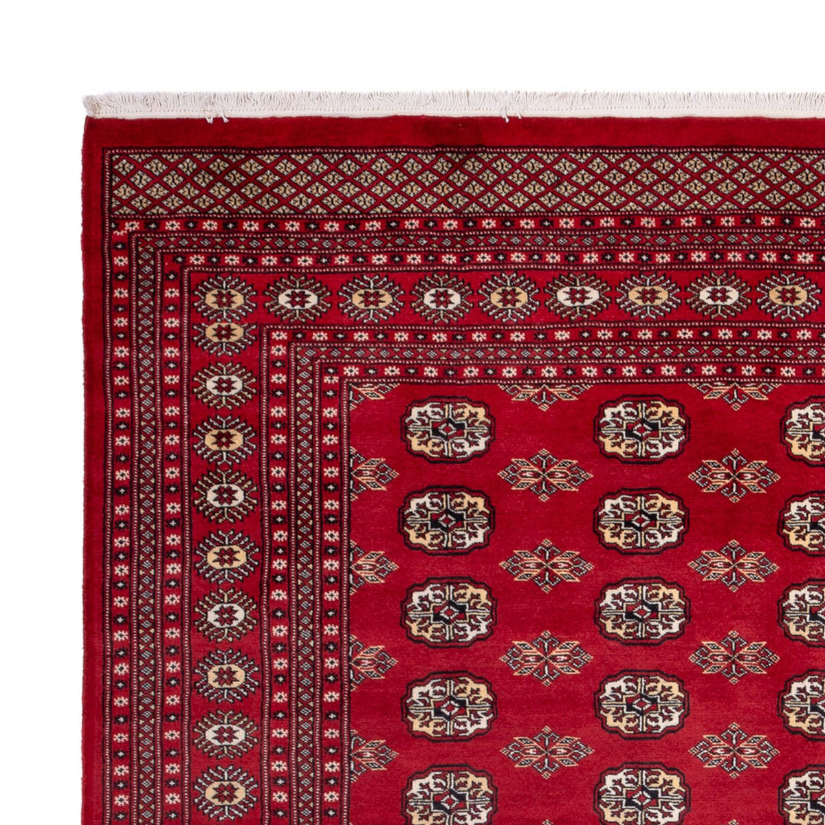 Afghan Teppich - Buchara - 301 x 245 cm - rot