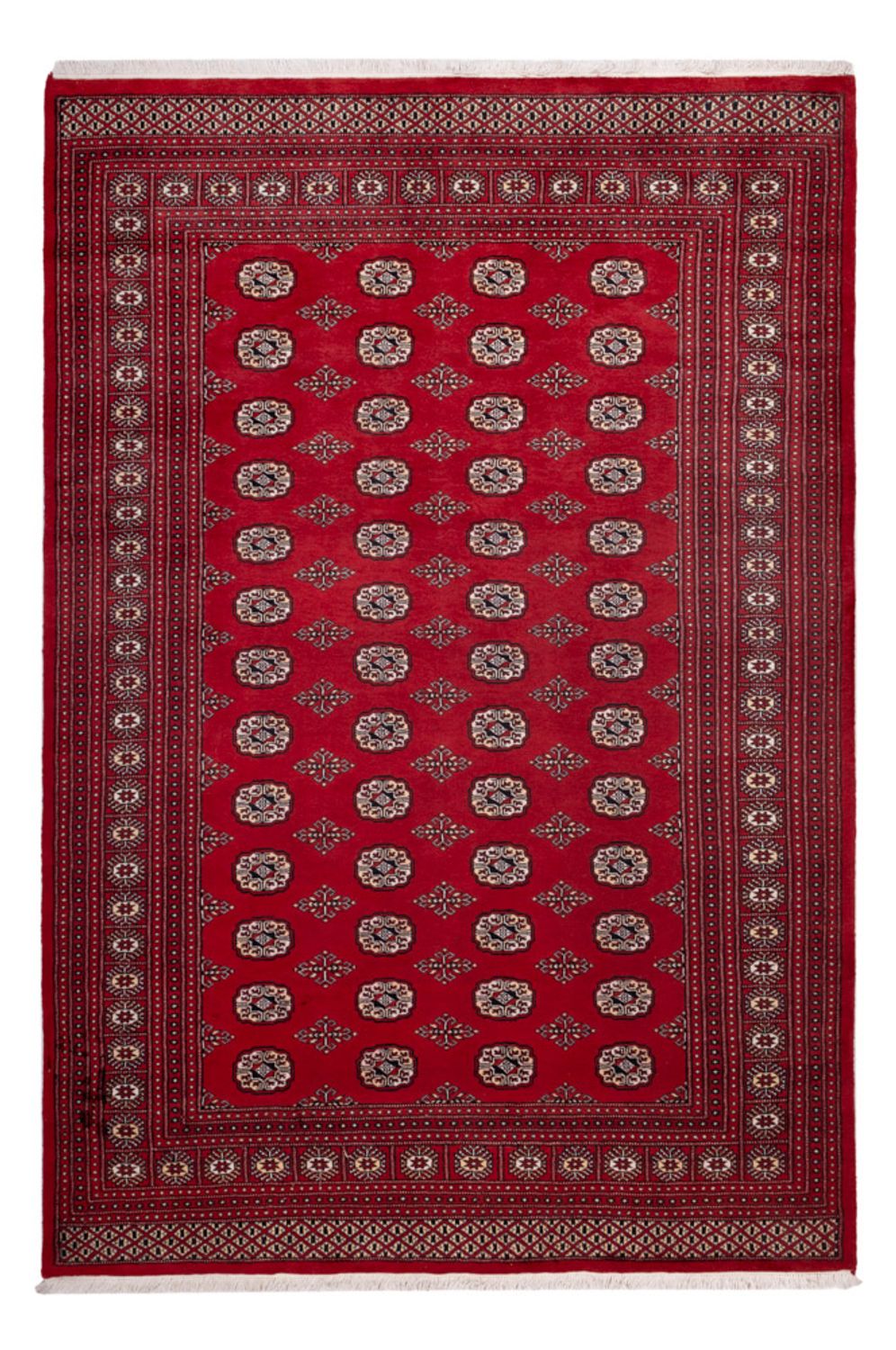 Afghan Teppich - Buchara - 290 x 200 cm - rot