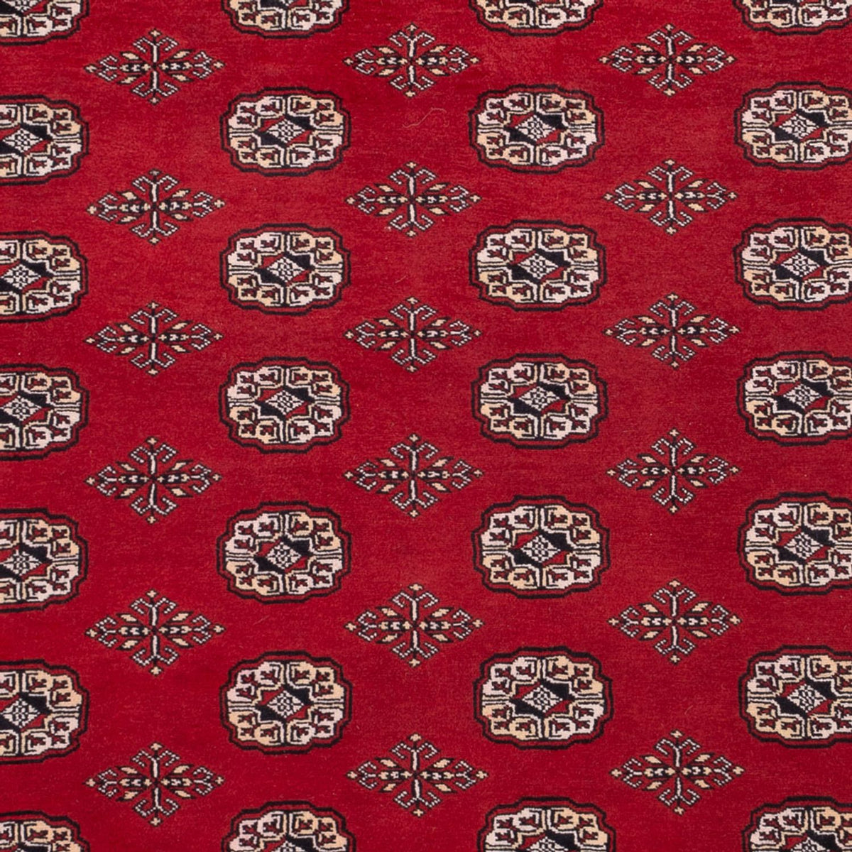 Afghan Teppich - Buchara - 290 x 200 cm - rot