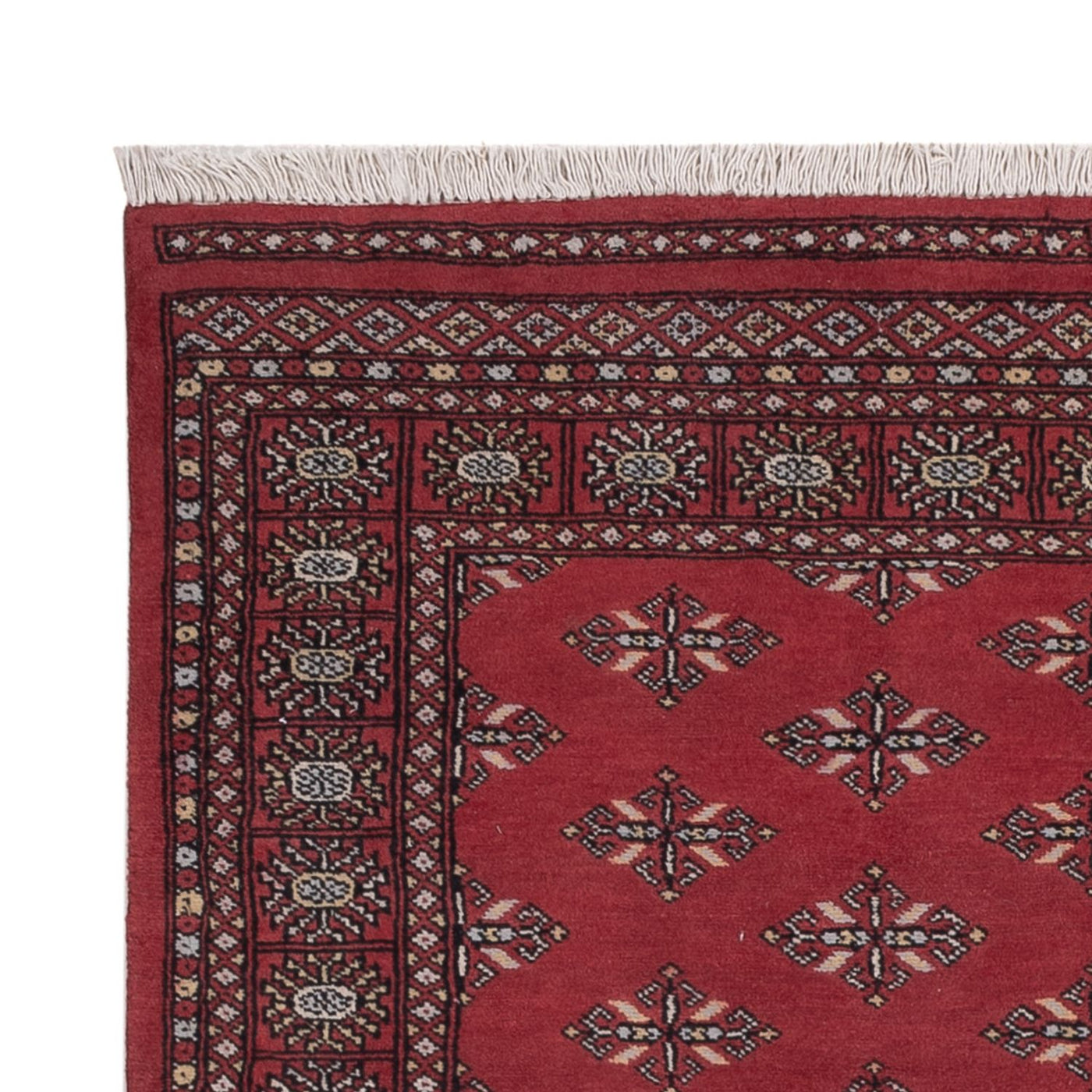 Tapis Pakistani 183x140cm - Tapis oriental